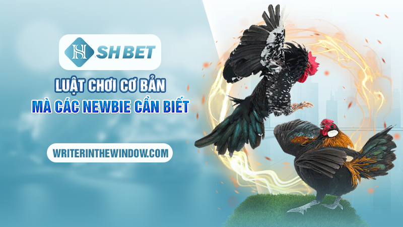 Đá Gà Cựa Dao SHBET - Bí Quyết Thắng Lớn Cho Các Cược Thủ 2 Luật chơi cơ bản mà các newbie cần biết