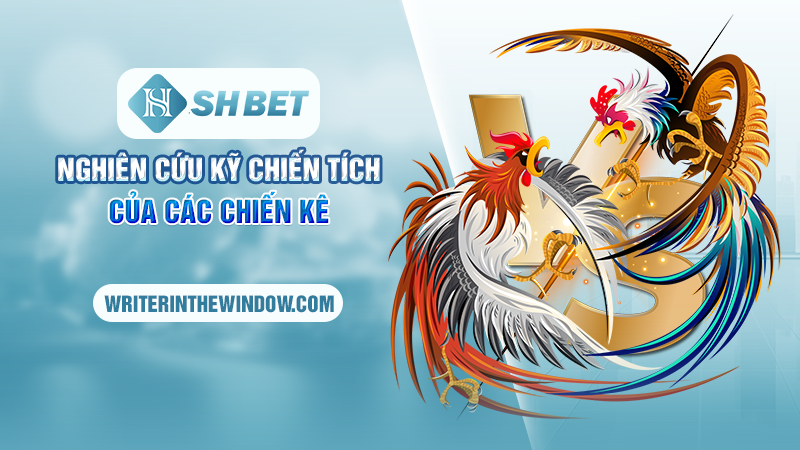Đá Gà Cựa Dao SHBET - Bí Quyết Thắng Lớn Cho Các Cược Thủ 1 Tìm hiểu khái quát về đá gà cựa dao SHBET