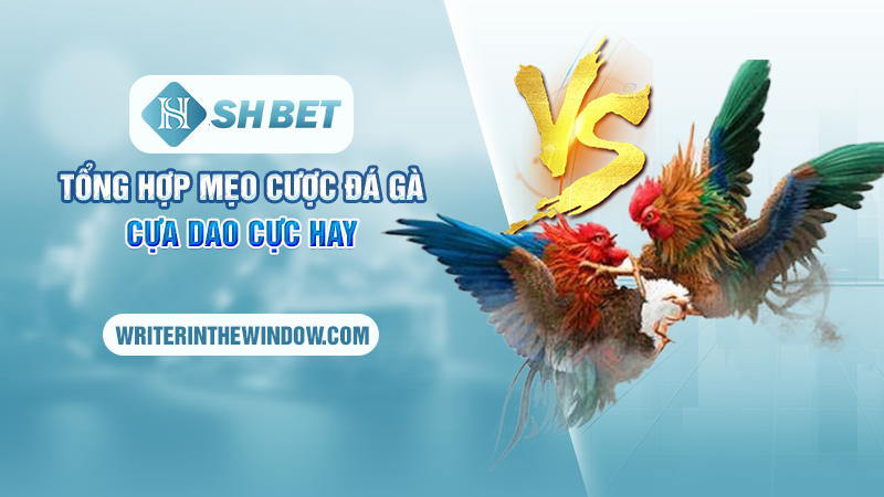 Đá Gà Cựa Dao SHBET - Bí Quyết Thắng Lớn Cho Các Cược Thủ 4 Tổng hợp mẹo cược đá gà cựa dao cực hay