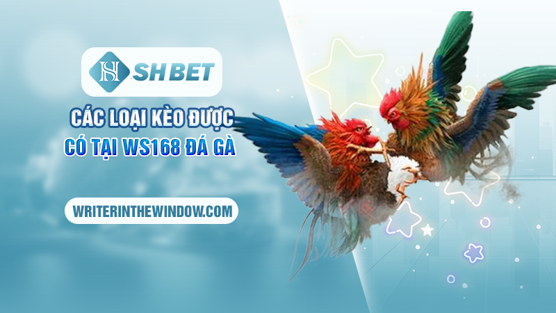WS168 Đá Gà SHBET - Khám Phá Đấu Trường Đá Gà Đỉnh Cao Nhất 2 Các loại kèo được có tại WS168 Đá Gà