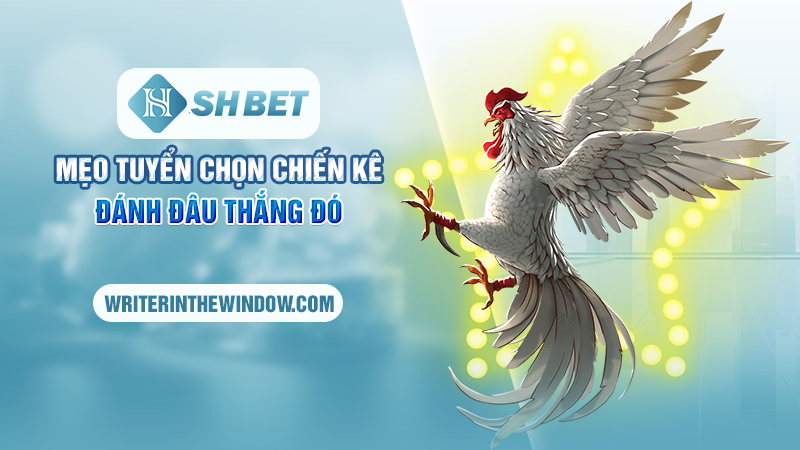 WS168 Đá Gà SHBET - Khám Phá Đấu Trường Đá Gà Đỉnh Cao Nhất 3 Mẹo tuyển chọn chiến kê đánh đâu thắng đó