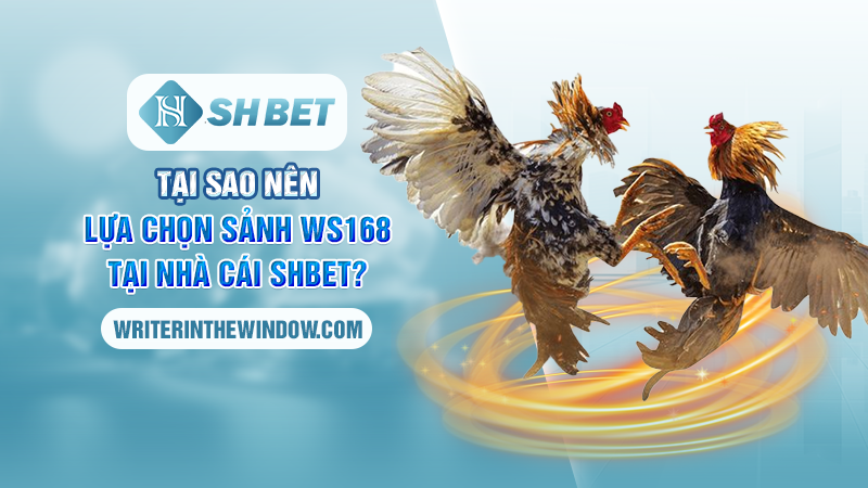 WS168 Đá Gà SHBET - Khám Phá Đấu Trường Đá Gà Đỉnh Cao Nhất 1 Tại sao nên lựa chọn sảnh WS168 tại nhà cái SHBET?