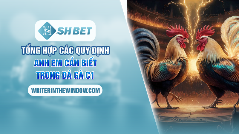 Đá Gà C1 SHBET – Hướng Dẫn Cách Đặt Cược Cho Các Cao Thủ 3 Tổng hợp các quy định anh em cần biết trong Đá gà C1